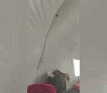 İki kez &ouml;ks&uuml;z kalan Gazzeli k&uuml;&ccedil;&uuml;k Cennet, aile sıcaklığına ve &ccedil;ocukluğuna kavuşma hayali kuruyor