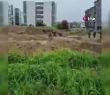 İzmir'de &ccedil;amura saplanan &ccedil;ocukları itfaiye kurtardı