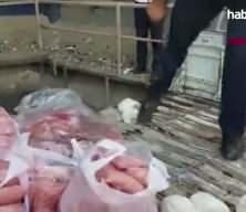 Ordu'da otogarda y&uuml;zlerce kilo ka&ccedil;ak et ele ge&ccedil;irildi