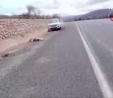 Otomobil koyun s&uuml;r&uuml;s&uuml;ne daldı: 9 koyun telef oldu 