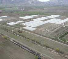 5 d&ouml;n&uuml;mden 4 milyon fideye: Erzincanlı &uuml;retici Doğu Anadolu'nun fidecisi oldu