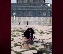 Filistinliler 41 g&uuml;nl&uuml;k yokluğun ardından Mescid-i Aksa&rsquo;nın kedilerini besledi