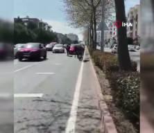 Tekirdağ'da başıboş atlar şehirde yollara &ccedil;ıktı s&uuml;r&uuml;c&uuml;ler zor anlar yaşadı