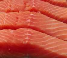 T&uuml;rk somonu ihracatı yılın ilk &ccedil;eyreğinde 91 milyon doları aştı