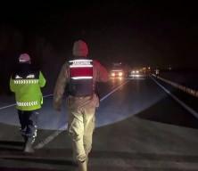 Van ve Hakkari&rsquo;de zehir tacirlerine darbe: 446 kilogram uyuşturucu ele ge&ccedil;irildi