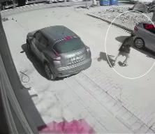 23 su&ccedil; kaydı olan ş&uuml;pheli, sokak ortasında ara&ccedil;lara saldırdı: Cezaevine g&ouml;nderildi