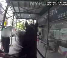 Filmleri aratmayan takip: New York'ta atlı polis hırsızı b&ouml;yle kovaladı