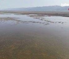 Akşehir G&ouml;l&uuml; 8 yıl aradan sonra su tutmaya başladı