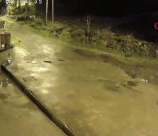 Artvin'de a&ccedil; kalan ayılar k&ouml;ylere indi