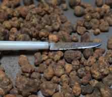 İtalya&rsquo;yı bırakıp Edirne&rsquo;de tr&uuml;f mantarı ihracat&ccedil;ısı oldu