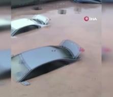 Siirt&rsquo;te ara&ccedil;lar sel sularında kayboldu, onlarca hayvan telef oldu