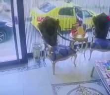  B&ouml;cek ailesinin &ouml;l&uuml;m&uuml;ne ilişkin davanın g&ouml;r&uuml;lmesine başlandı