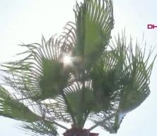 2026 İ&ccedil;in k&uuml;resel ısınma uyarısı yapıldı ve El Nino sıcaklıkları kapıda...