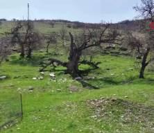 G&uuml;listan Doku'nun cansız bedenine ulaşmak i&ccedil;in JAK ve JASAT ekiplerinden geniş &ccedil;aplı arama