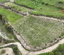 Sofraların vazge&ccedil;ilmezi zahterde bereketli hasat: Kilogramı 400 TL'ye dayandı!