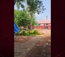 Hindistan'da kontrolden &ccedil;ıkan fil, s&uuml;r&uuml;c&uuml;s&uuml;n&uuml; ezip başında n&ouml;bet tuttu