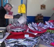 Av sezonu bitse de tezgahlardan balık eksik olmuyor!