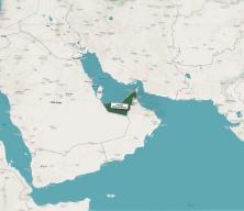 BAE&rsquo;nin OPEC kararı şok etkisi yarattı: Piyasalarda %13 gerileme