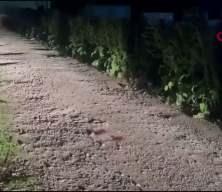 Bursa'da depoya kurşun yağmuru: Avukat hayatını kaybetti, kardeşi yaralandı