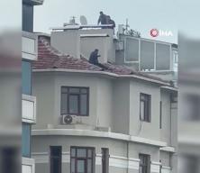 &Ccedil;atıya &ccedil;ıkıp etrafa kiremit ve şişe attı, polisin 1 saatlik &ccedil;alışmasıyla indirildi
