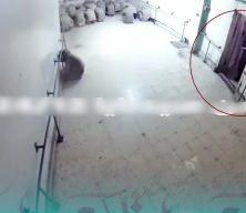 Esad'ın yerin kat kat altındaki işkence merkezi Sedneya Hapishanesi'nin yeni g&ouml;r&uuml;nt&uuml;leri ortaya &ccedil;ıktı