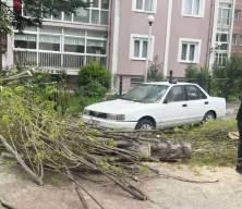 AFAD&rsquo;tan 51 ile sarı uyarı: 2 kişi hayatını kaybetti, 33 yaralı