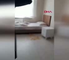 Beylikd&uuml;z&uuml;'nde yaşlıların darbedildiği bakımevinin yeni g&ouml;r&uuml;nt&uuml;leri ortaya &ccedil;ıktı