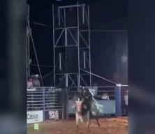 Brezilya'da rodeo arenasında feci &ouml;l&uuml;m: Boğanın altında kaldı