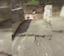 Munzur Nehri taştı, asma k&ouml;pr&uuml; &ccedil;&ouml;kt&uuml;