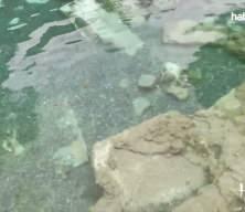 Pamukkale&rsquo;nin yanında antik kente yeni d&uuml;zen! Hierapolıs&rsquo;te Karşılama merkezleri tamamlandı