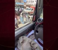 Trafikte su satar gibi tabanca sattı!