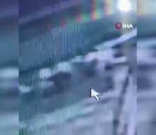 Van&rsquo;da k&ouml;pek saldırıları g&uuml;ndemde: Vatandaşlar &ccedil;&ouml;z&uuml;m bekliyor