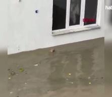 Selin ortasında kalan kediyi boğulmaktan kurtardı