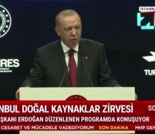 Başkan Erdoğan'dan enerji mesajı: T&uuml;rkiye en g&uuml;&ccedil;l&uuml; k&ouml;pr&uuml;d&uuml;r