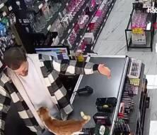 Esnafın hayat kurtaran şefkatine kediden her g&uuml;n vefa sarılması