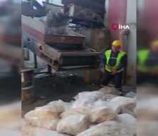 Tekirdağ'da gıda skandalı: 1,2 ton sakatat imha edildi