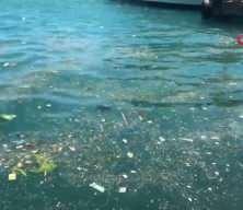 Ortak&ouml;y sahilinde &ccedil;evre kirliliği tepkisi