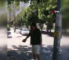 Karga s&uuml;r&uuml;s&uuml; saldırdı! Vatandaşın feleği şaştı: O anlar kamerada 