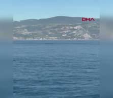 Akdeniz'de balina g&ouml;r&uuml;ld&uuml;