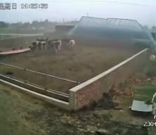 &Ccedil;in'in Harbin kentini kum fırtınası vurdu!