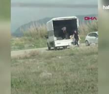 Hatay'da koruma altındaki kuş cennetine kamyonetle k&ouml;pek bıraktılar