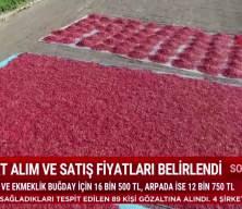 TMO 2026 yılı hububat alım ve satış fiyatlarını a&ccedil;ıkladı