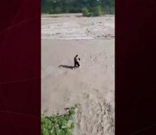 Azerbaycan'da kahramanlık destanı: Polis memuru k&uuml;&ccedil;&uuml;k &ccedil;ocuğu boğulmaktan kurtardı!