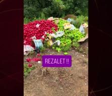 &Ccedil;anakkale'de vicdan sızlatan g&ouml;r&uuml;nt&uuml;: Kilolarca sağlam sebze ormana d&ouml;k&uuml;ld&uuml;
