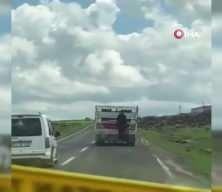Kamyonete tutunarak kilometrelerce yol aldı