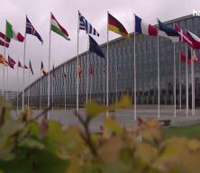 NYT ABD'nin NATO kararını duyurdu