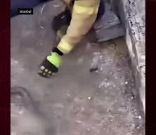 Pendik&rsquo;te garajda 1,5 metrelik yılan paniği: İtfaiye ekipleri yakalayıp doğaya bıraktı