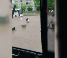 Sel sularına kapılan yaşlı adamı son anda kurtardılar