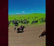 At yarışında skandal g&ouml;r&uuml;nt&uuml;ler: Koşmuyor diye acımasızca vurdular