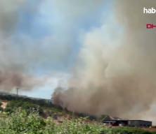 &Ccedil;anakkale'de bozuk ormanda yangın